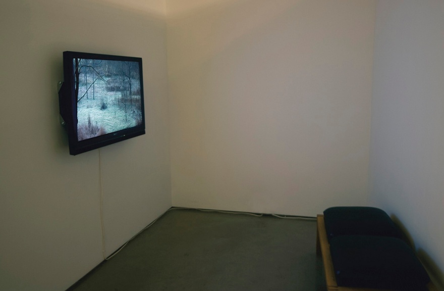 Jamie Hahn, "Deer Field", 4:53, single channel video installation, Figure Ground Rhythm Thesis Exhibition, 2010